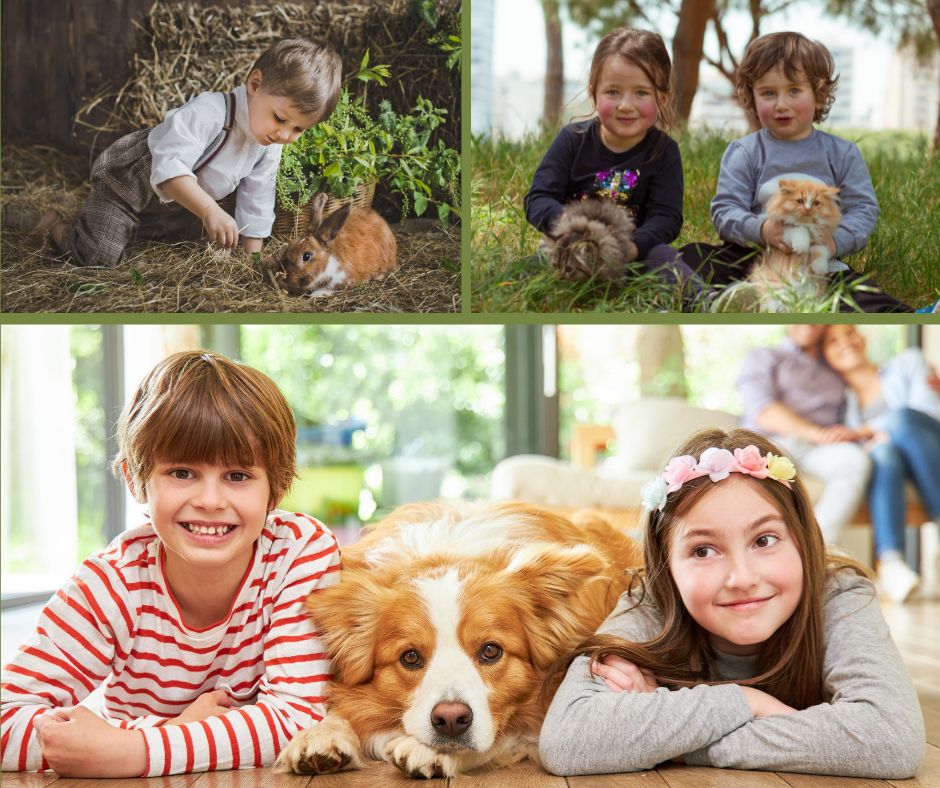 Tiere fördern Kinder, Teil 2_2