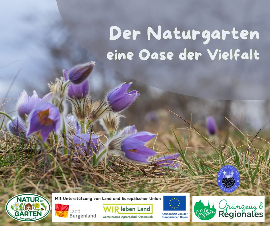 Der Naturgarten - eine Oase der Vielfalt