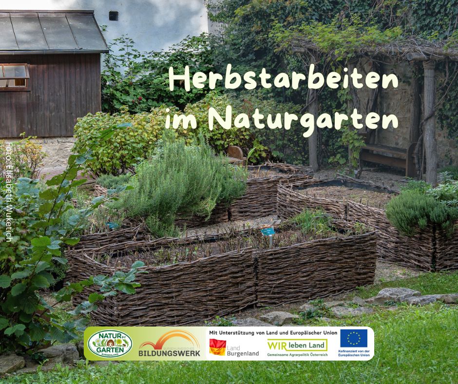 Herbstarbeiten im Naturgarten