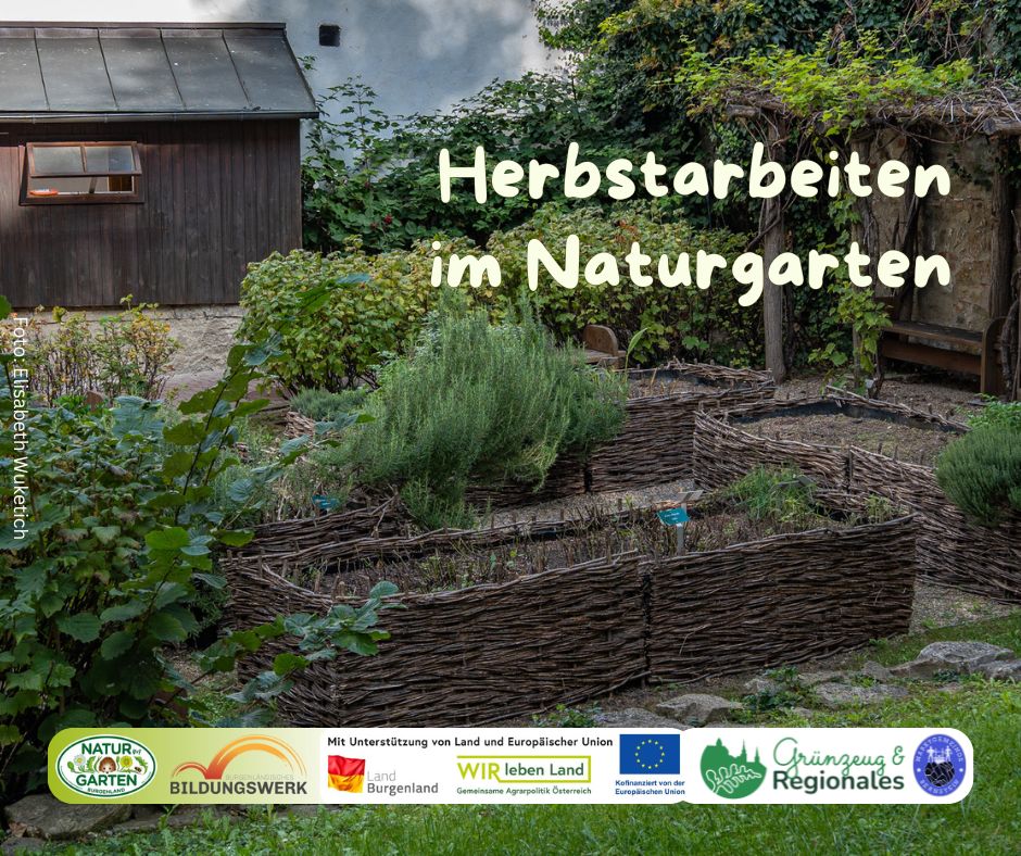 Herbstarbeiten im Naturgarten