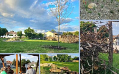 Naturnahe Begegnungszone mitten im Dorf