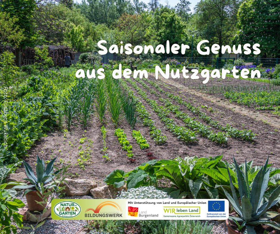 Saisonaler Genuss aus dem Nutzgarten