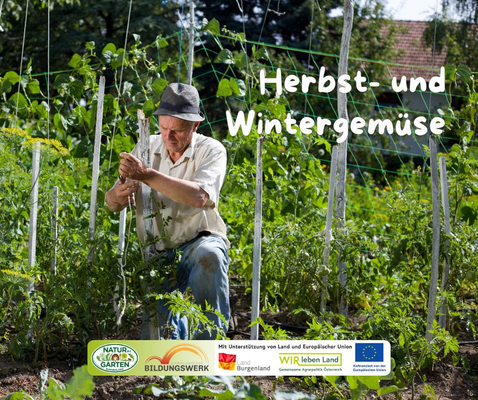 Herbst- und Wintergemüse - Vielfalt für die kalte Jahreszeit