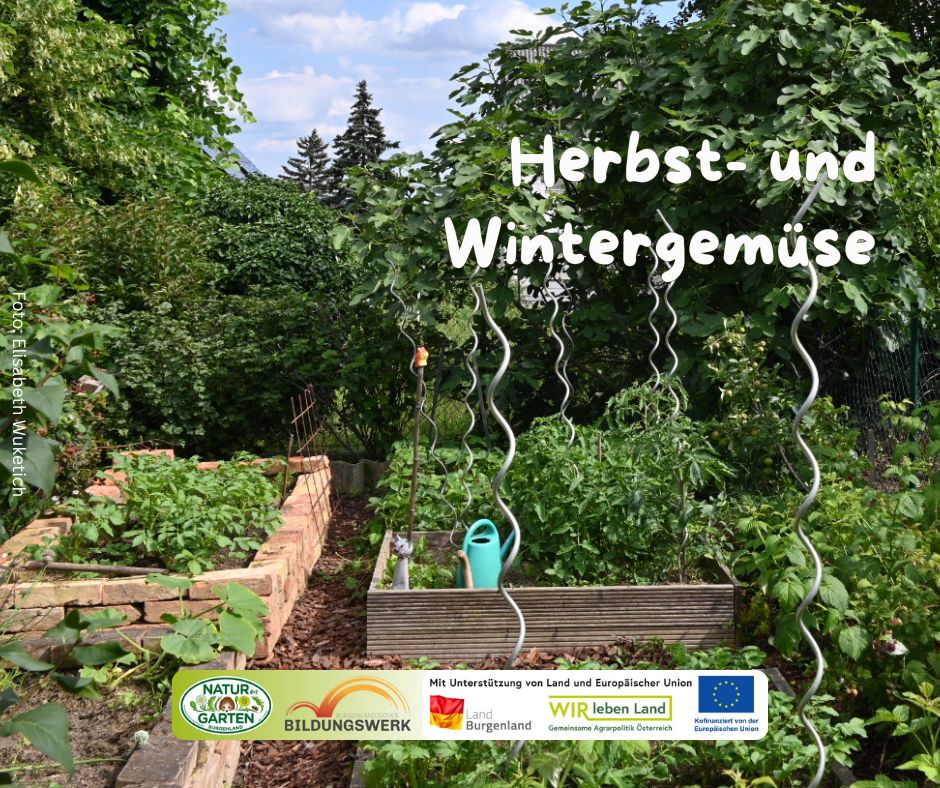 Herbst- und Wintergemüse - Vielfalt für die kalte Jahreszeit