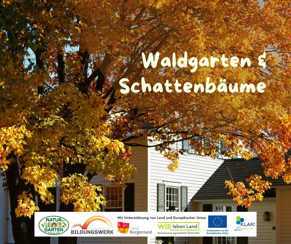 Waldgarten & Schattenbäume
