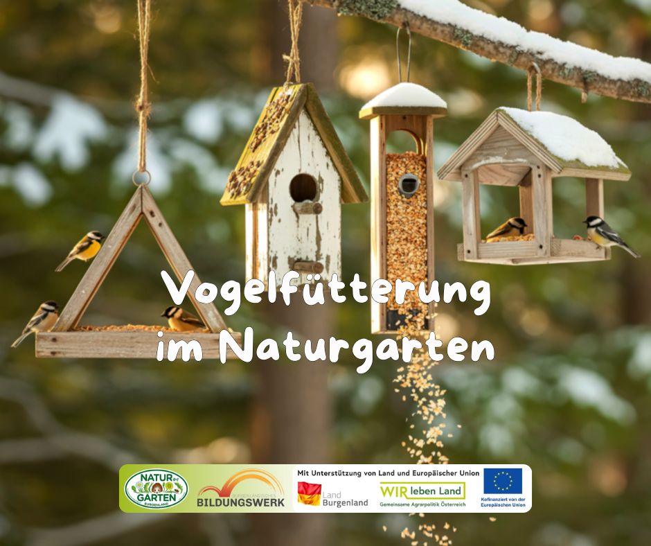 Vogelfütterung im Naturgarten