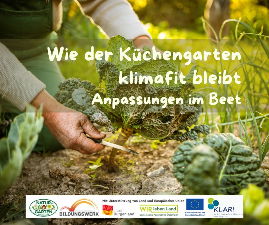 Wie der Küchengarten klimafit bleibt - Anpassungen im Beet