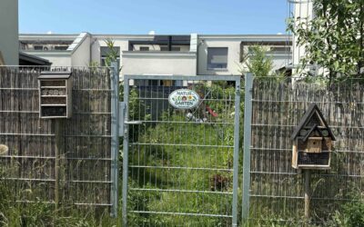 Weißt du, wie viel Sterne stehen … ?