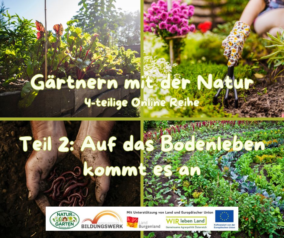 Gärtnern mit der Natur 2_4