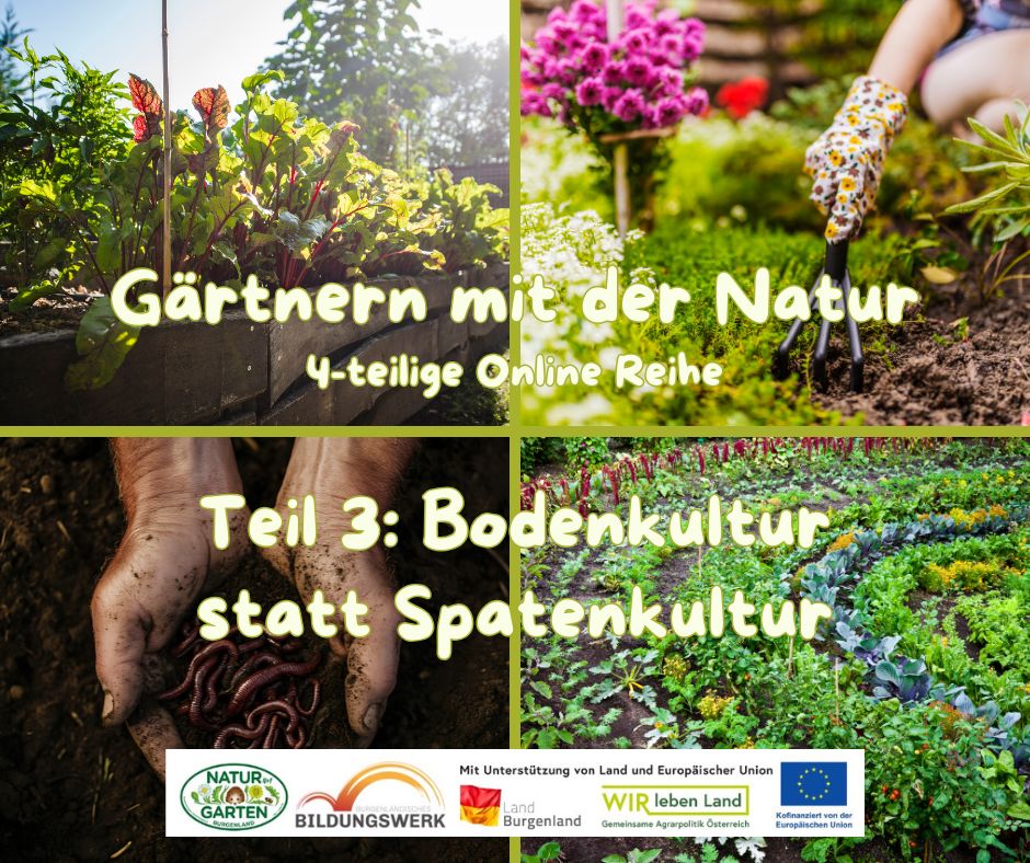 Gärtnern mit der Natur 3_4