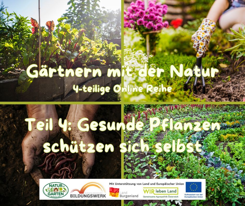 Gärtnern mit der Natur 4_4