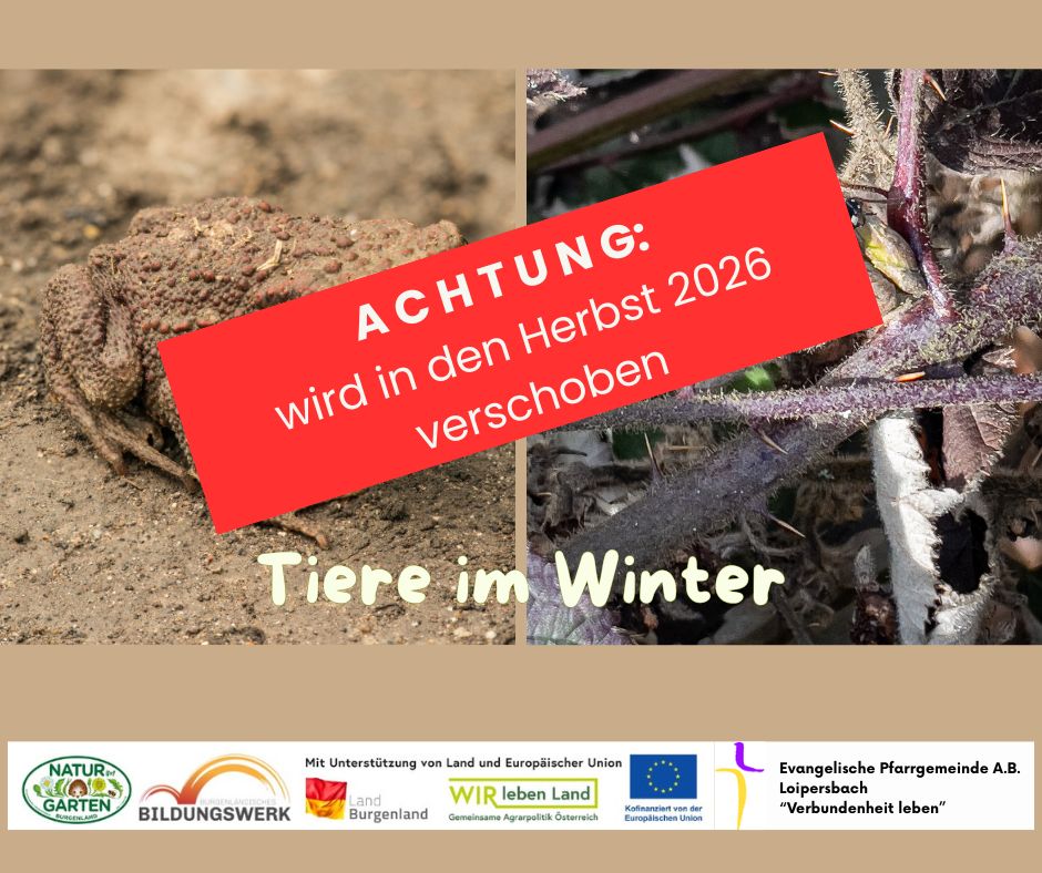 Tiere im Winter - verschoben!