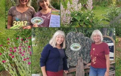 Von den Anfängen und den Veränderungen