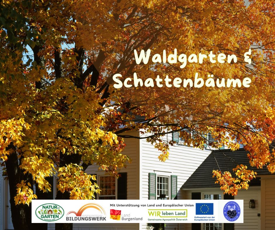 Waldgarten & Schattenbäume