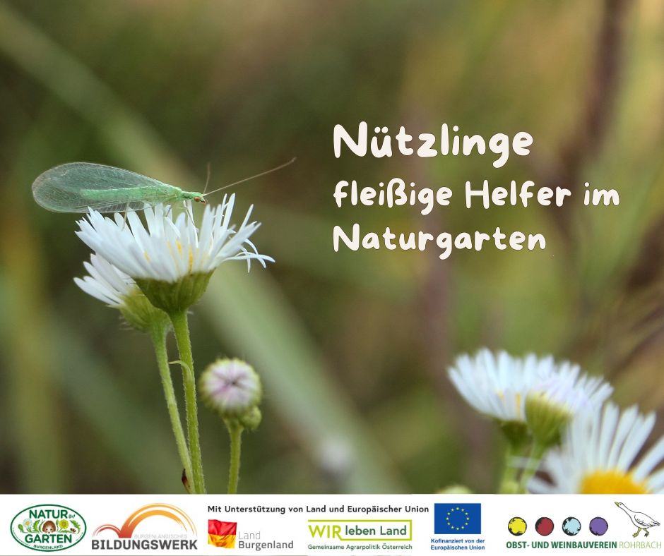 Nützlinge - fleißige Helfer im Naturgarten