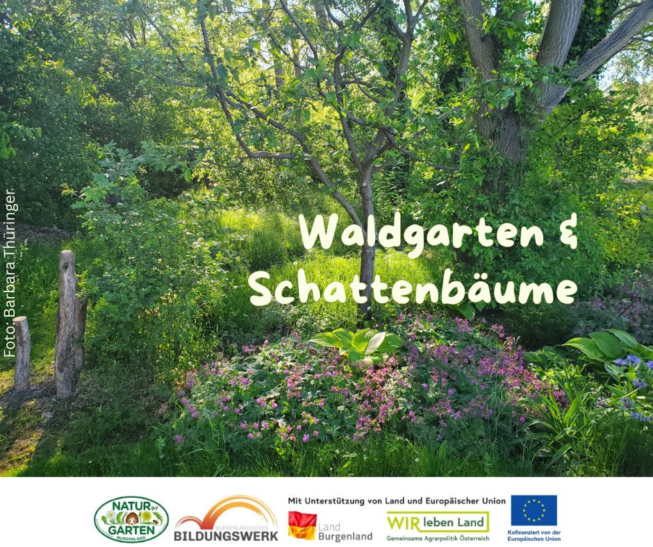 Waldgarten & Schattenbäume