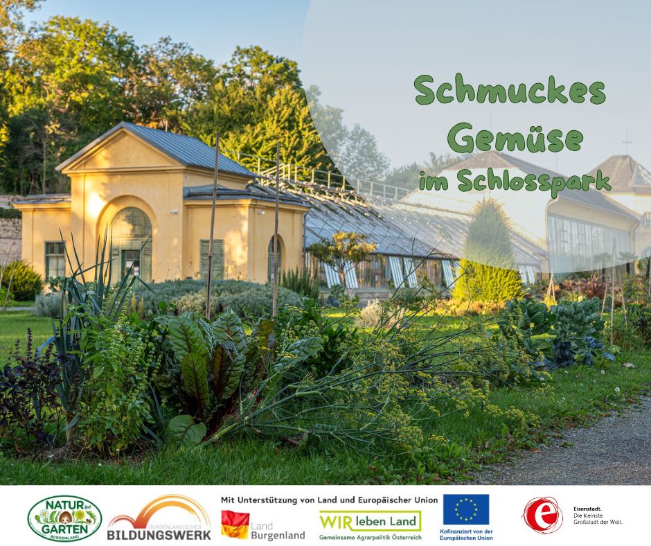 Schmuckes Gemüse im Schlosspark