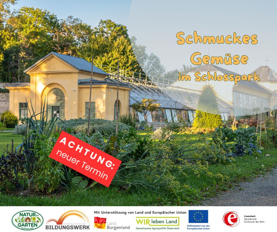Schmuckes Gemüse im Schlosspark