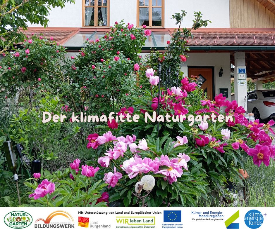 Der klimafitte Naturgarten