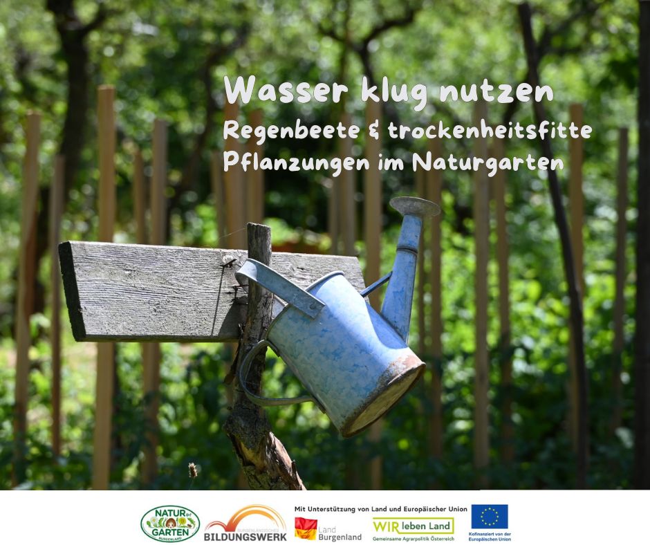 Wasser klug nutzen: Regenbeete und trockenheitsfitte Pflanzungen im Naturgarten - Fortbildungsveranstaltung für Plakettenbesitzer*innen