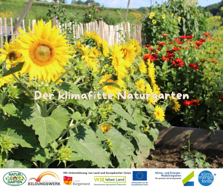 Der klimafitte Naturgarten