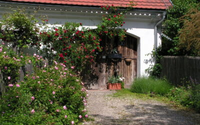 Vom Maisacker zum Vielfaltsgarten