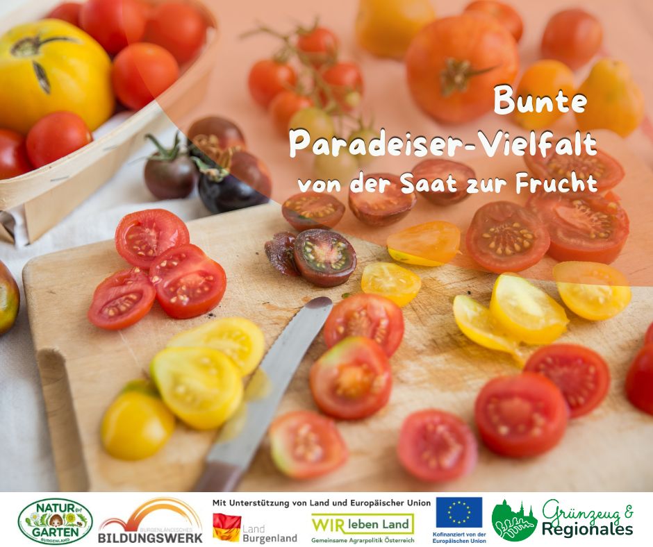 Bunte Paradeiser-Vielfalt - von der Saat zur Frucht
