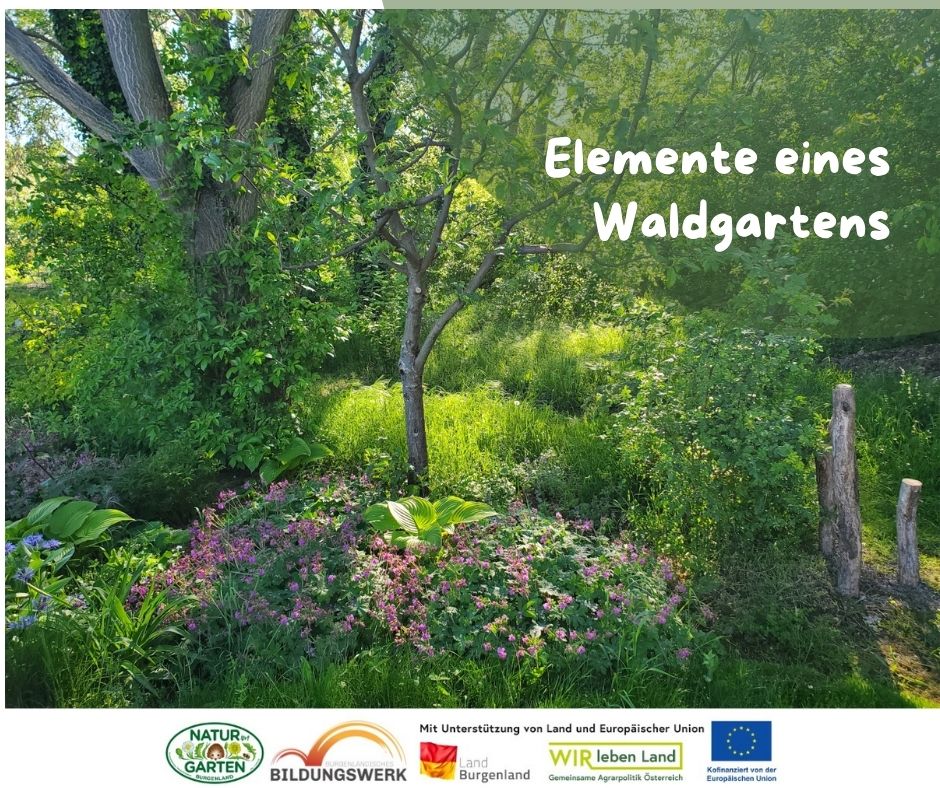 Elemente eines Waldgartens - Beitrag zur Förderung der Biodiversität